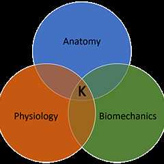 Kinesiology For The Massage Therapist