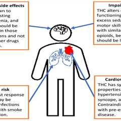 Potential Risks And Side Effects Of D9 THC