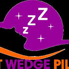 Sleepnitez 8″ Wedge Pillow