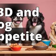 Can CBD Oil Really Increase Dog Appetite? Let’s Find Out