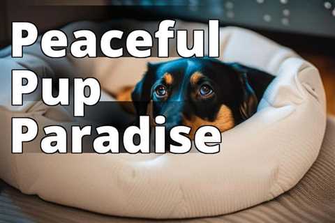 Uncover the Ultimate Guide to Calming Your Dog with an Anxiety Bed