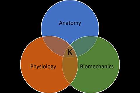 Kinesiology For The Massage Therapist