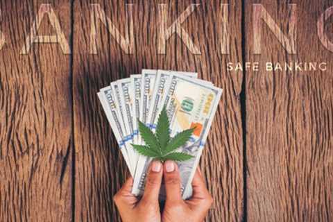 Ten Years Since First Cannabis Banking Bill Was Filed and the Industry Is Still Waiting