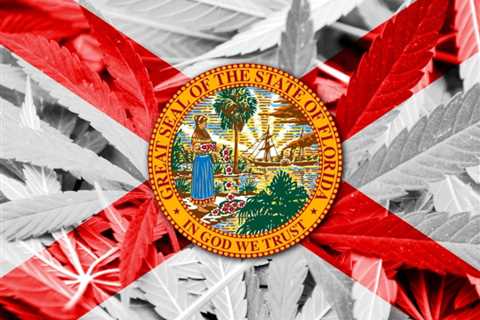 Florida Cannabis Legalization Ballot Initiative Could Net Over $431 Million in Annual Tax Revenue