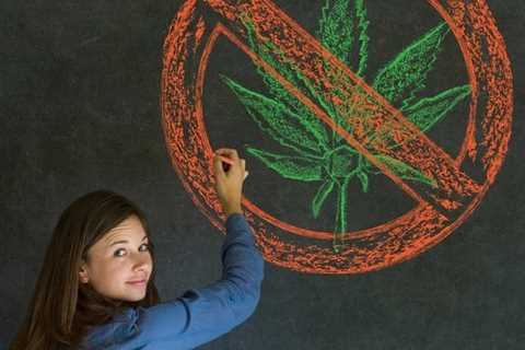 8th Grade Sober - Legalizing Weed Does Not Lead to an Increase in Middle School Cannabis Use Says..