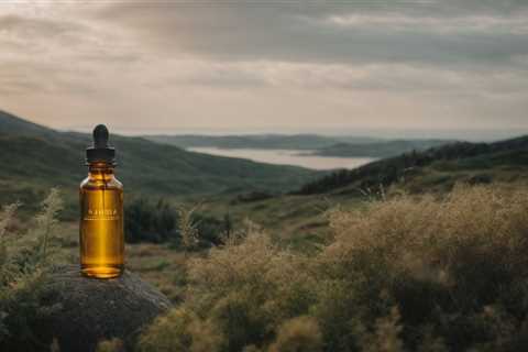 Epilepsy Management: Exploring CBD Oil Products for Effective Treatment