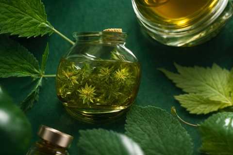 Holistic Approach to Epilepsy Management with CBD Oil: A Comprehensive Guide