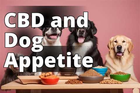 Can CBD Oil Really Increase Dog Appetite? Let’s Find Out