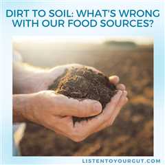 Dirt to Soil: What’s Wrong With Our Food Sources?