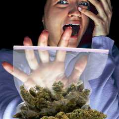 Irrational Fear of High THC Cannabis Dispelled by New German Medical Study - MMJ Patients are..