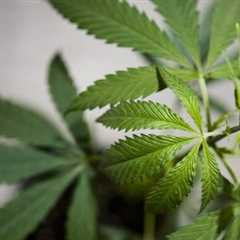 Amendment killing nationally legal cannabis makes it into House farm bill