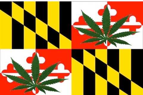 Maryland Mayor Forced Out of the Hemp Business by State’s New Cannabis Law