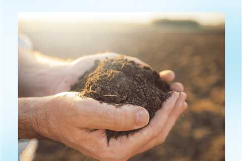 Dirt to Soil: What’s Wrong With Our Food Sources?