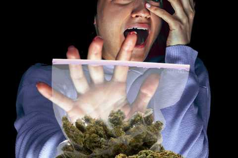 Irrational Fear of High THC Cannabis Dispelled by New German Medical Study - MMJ Patients are..