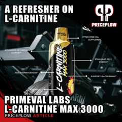 Primeval Labs L-Carnitine 3000: No-Nonsense Carnitine Liquid