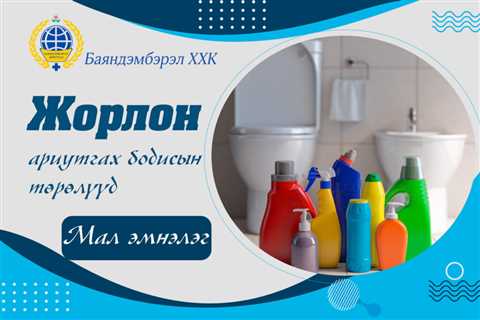 Жорлон ариутгах бодисын 5 төрөл - MMARKET.MN