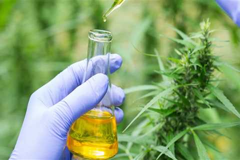 Is cbda better than cbd?