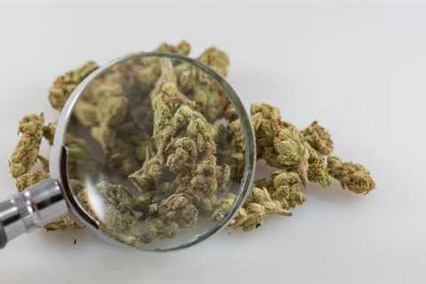 Bipartisan Congressional bill would create centers of excellence in cannabis research and set a..