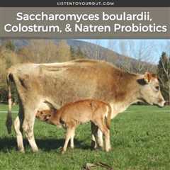 Saccharomyces boulardii, Colostrum, & Natren Probiotics