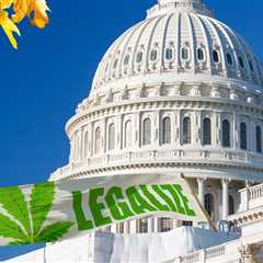 Legalize Weed, Not Reschedule It? - 57% of the Comments on the DEA Website Want Cannabis Desheduled,..