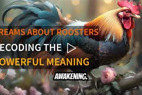 Dreams About Roosters: Meaning and Awakening Symbolism - The Powerful Meaning