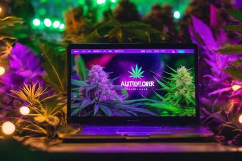 Best Autoflower Cannabis Banks Online