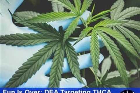 Fun Is Over: DEA Targeting THCA Products as Congress Considers Revising 2018 Farm Bill