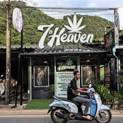 Why Thailand legalized marijuana — and then almost banned it again