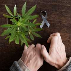 Parkinson's Patients are Self-Medicating with Cannabis, and Seeing Good Results!