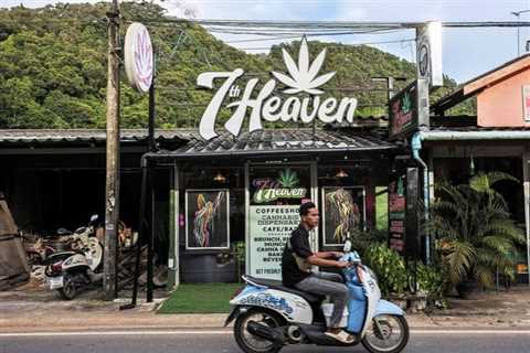 Why Thailand legalized marijuana — and then almost banned it again