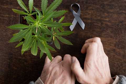 Parkinson's Patients are Self-Medicating with Cannabis, and Seeing Good Results!