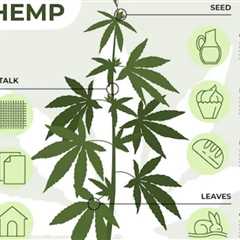 #hemp -- exponentially versatile https://t.co/aVJMWdXAu8