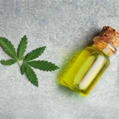 Essential Insights on CBD: What You Should Know