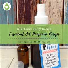 DIY Poopourri Toilet Spray Recipe - Homemade Vanilla Mint