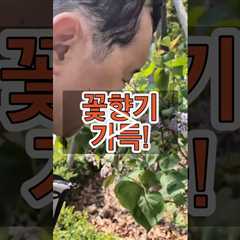봄 꽃향기 가득! 일상이 재활! 인지재활은 바깥이 정답!