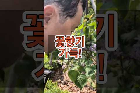 봄 꽃향기 가득! 일상이 재활! 인지재활은 바깥이 정답!