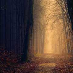 Professionelle Unterstützung durch Jugendpsychologen, Kinderpsychologen und Elterncoaching in..