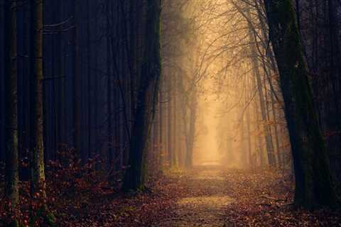 Professionelle Unterstützung durch Jugendpsychologen, Kinderpsychologen und Elterncoaching in..