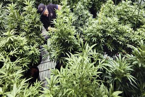 How Inpatient Residential Treatment For Addiction In Portland, Maine Helps When CBD Oil Isn’t Enough