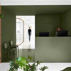 Healing Harmony: How A Wellness Center In Fort Worth Is Revolutionizing Health With Acupuncture