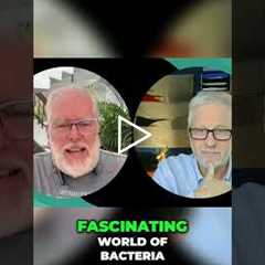 Bacteria vs. Viruses: Decoding the Mystery Behind Illnesses! #shorts