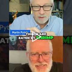 Sun's Energy to Glucose & Ocean Food Chain: Biology Simplified! #shorts