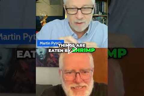 Sun's Energy to Glucose & Ocean Food Chain: Biology Simplified! #shorts