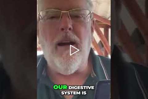 Save Your Gut This Holiday! 3 Tiny Changes You NEED to Know #shorts