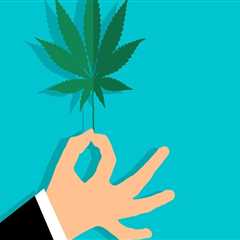 Navigating Cannabis Cultivation in Thailand with a Privilege Visa