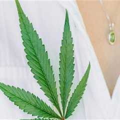 Cannabis Advocacy in Pasco, Washington: Empowering the Community