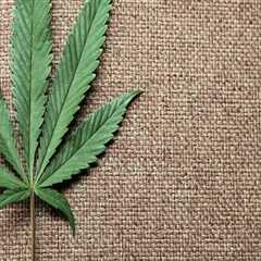 The Impact of Local Businesses and Organizations on Cannabis Advocacy in Pasco, Washington