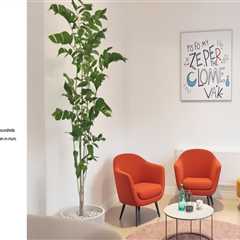 Lernblockaden in München lösen