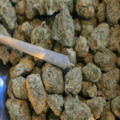 Exploring Medical Marijuana in Palm Beach Rehab