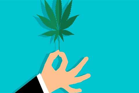 Navigating Cannabis Cultivation in Thailand with a Privilege Visa